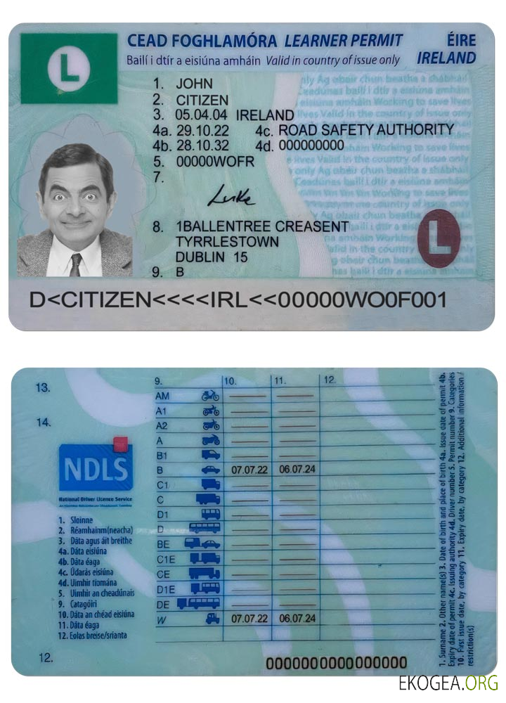 IRELAND driving license (learner permit) 2022  present